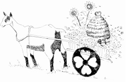 PMW Farms